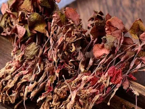 Sušený Anoectochilus Roxburghii super kvality prichádza na špeciálne trhy
