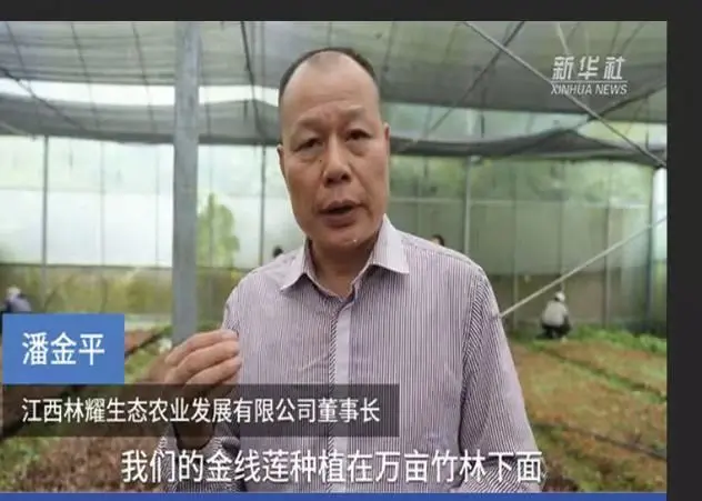 Pan Jinping, predseda spoločnosti Jiangxi Linyao Ecological Agriculture Development Co., Ltd., rozhovor pre tlačovú agentúru Xinhua
