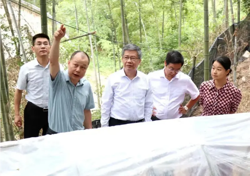 Liu Hongning, dekan Inštitútu pokročilého výskumu na Univerzite tradičnej čínskej medicíny Jiangxi a bývalý tajomník strany univerzity, vedie provinčnú expertnú skupinu pre komplexnú reformu tradičnej čínskej medicíny v Jiangxi s cieľom uskutočniť výskum na našej základni Anoectochilus.
